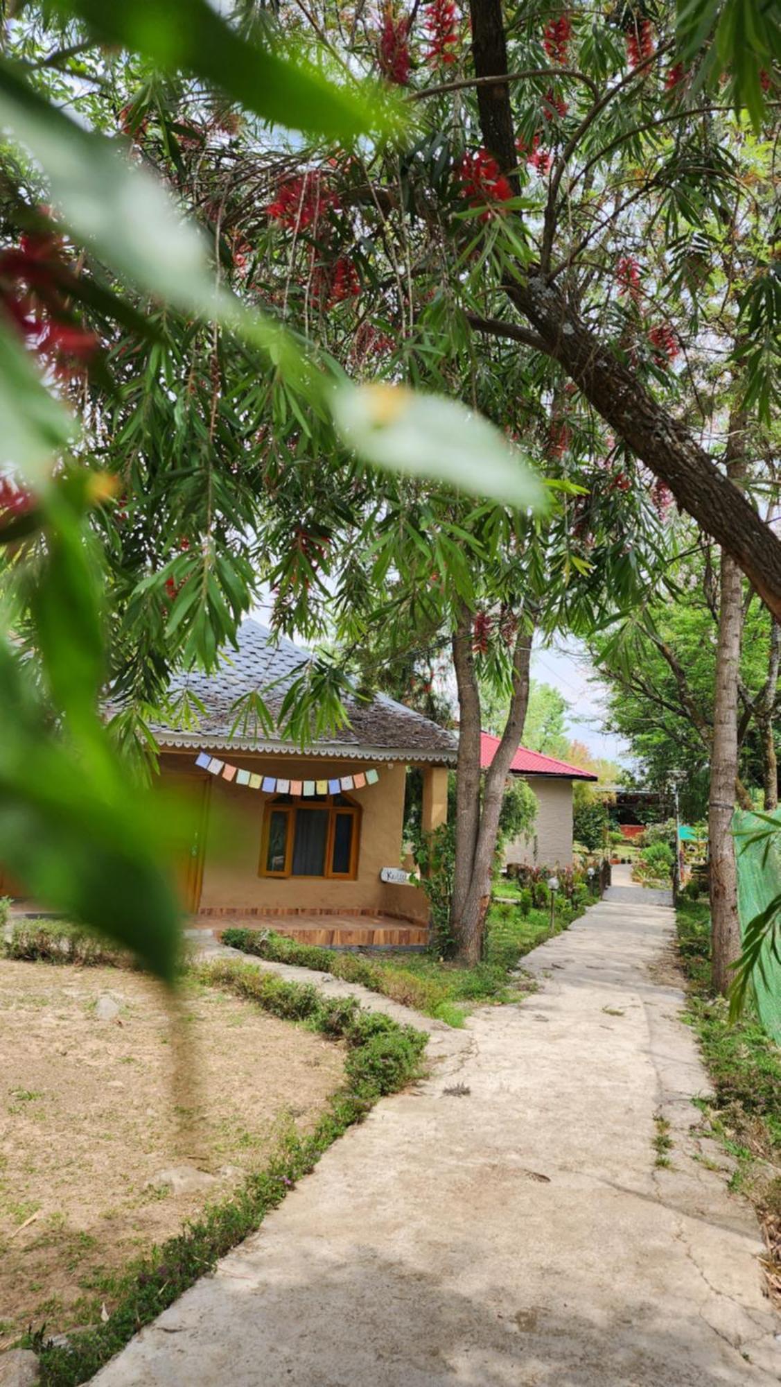 Namlang Resort Bīr Exteriér fotografie