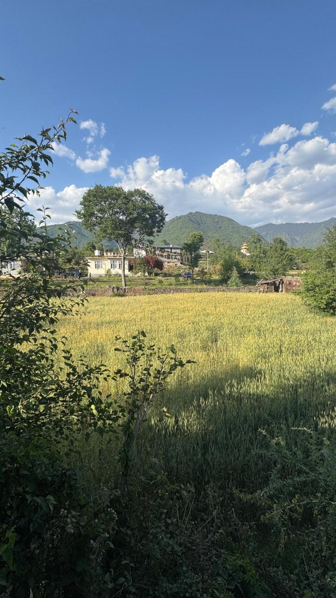 Namlang Resort Bīr Exteriér fotografie